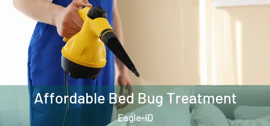 Affordable Bed Bug Treatment Eagle-ID