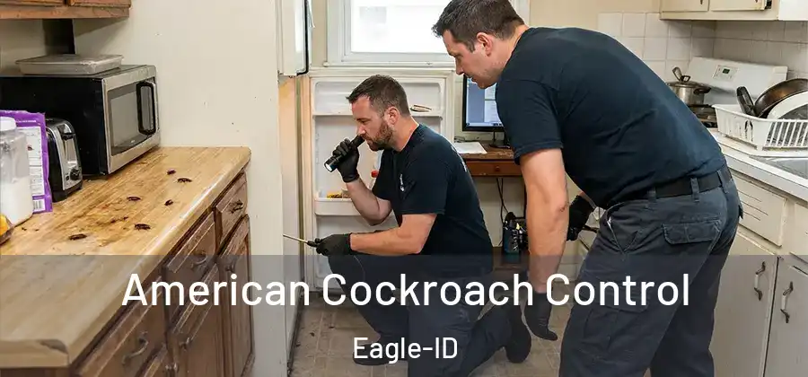 American Cockroach Control Eagle-ID