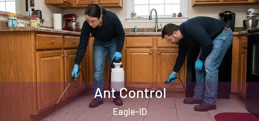  Ant Control Eagle-ID