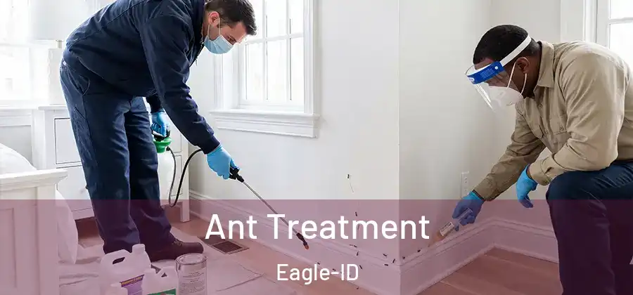 Ant Treatment Eagle-ID