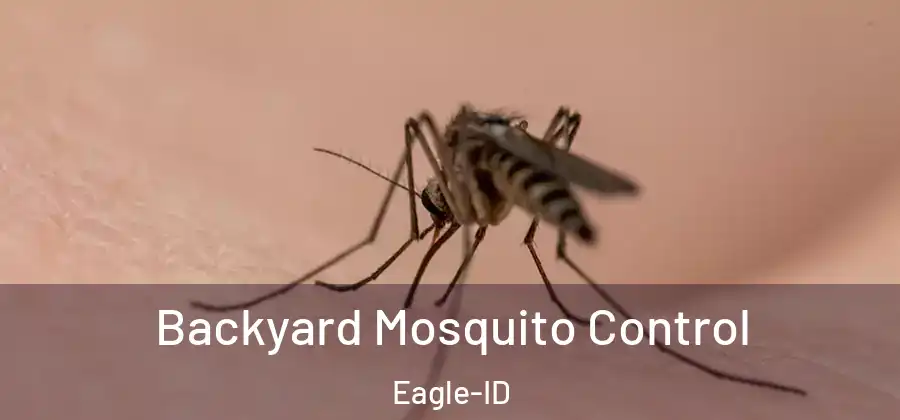 Backyard Mosquito Control Eagle-ID