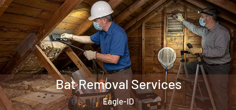 Bat Removal Services Eagle-ID