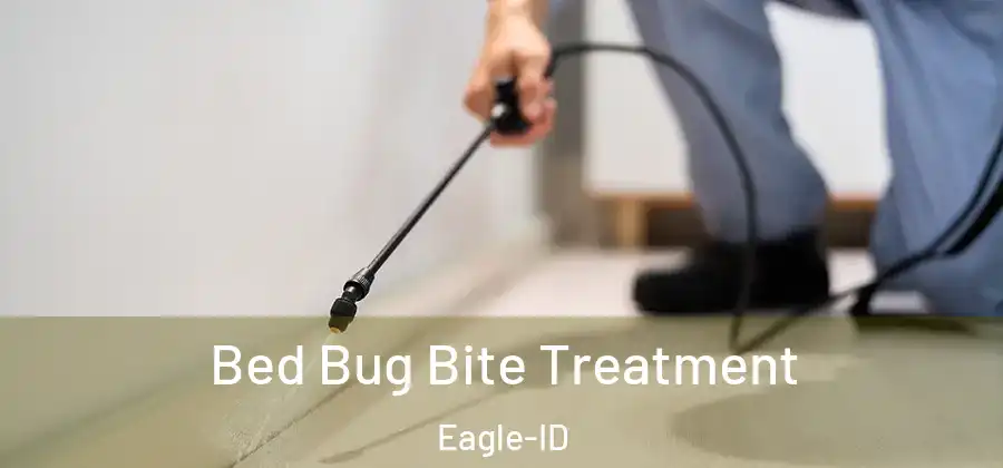 Bed Bug Bite Treatment Eagle-ID
