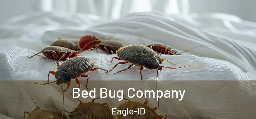  Bed Bug Company Eagle-ID