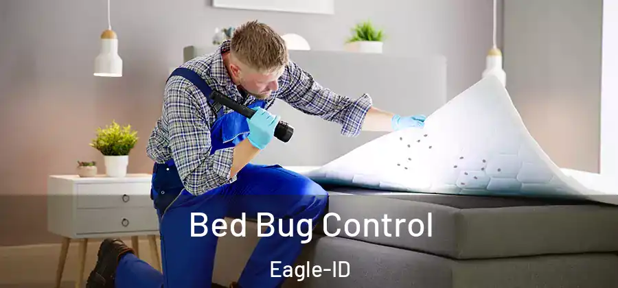  Bed Bug Control Eagle-ID