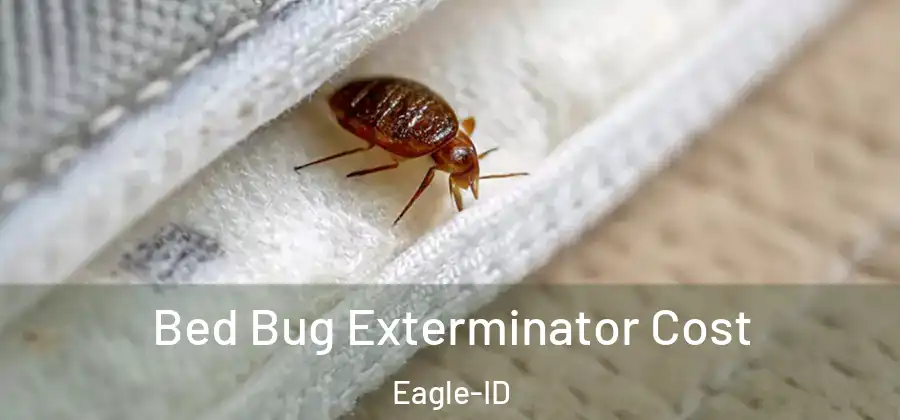  Bed Bug Exterminator Cost Eagle-ID