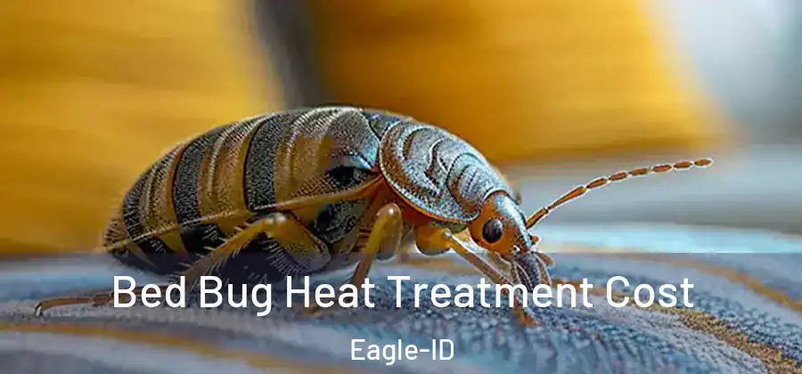 Bed Bug Heat Treatment Cost Eagle-ID