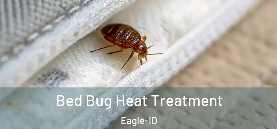 Bed Bug Heat Treatment Eagle-ID
