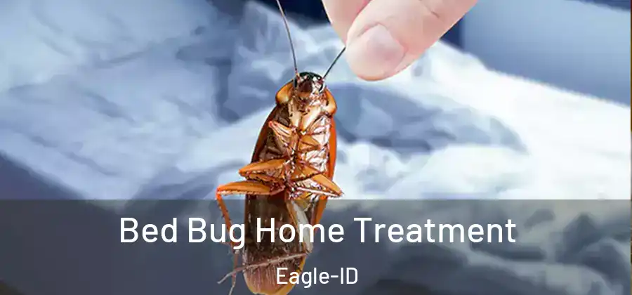  Bed Bug Home Treatment Eagle-ID