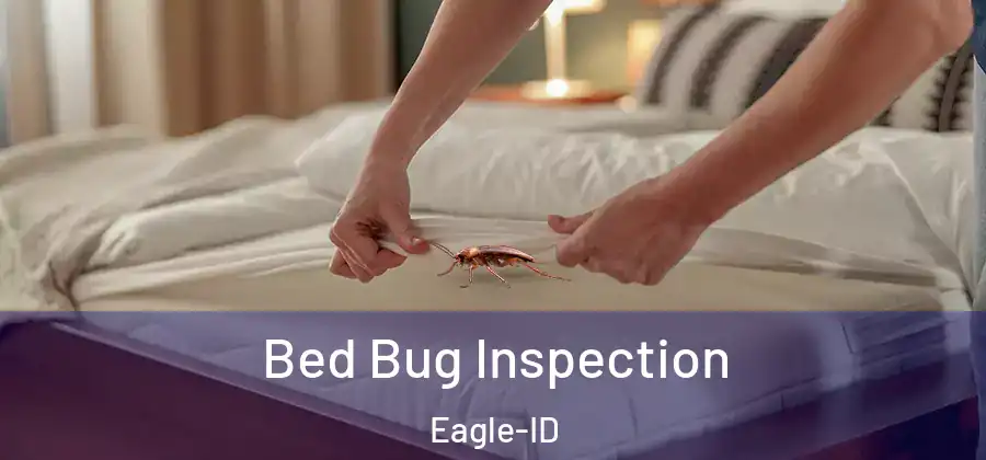 Bed Bug Inspection Eagle-ID