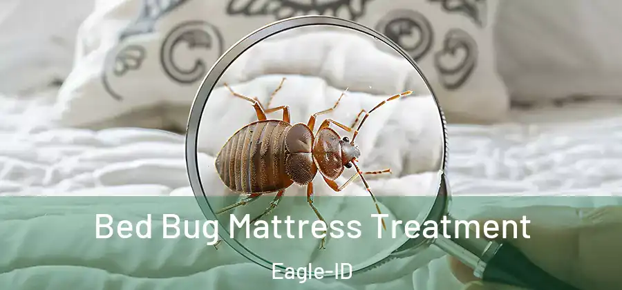  Bed Bug Mattress Treatment Eagle-ID