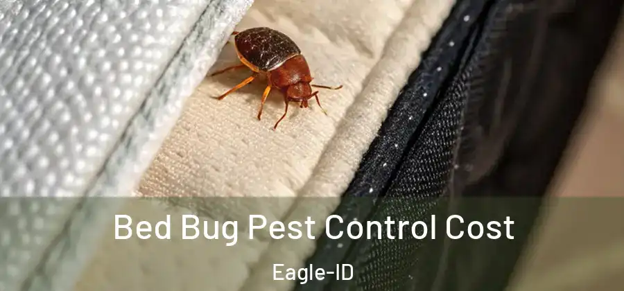 Bed Bug Pest Control Cost Eagle-ID