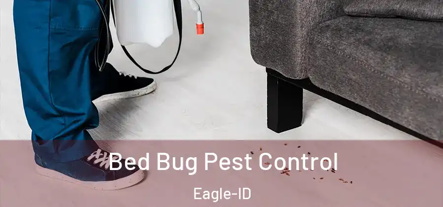 Bed Bug Pest Control Eagle-ID