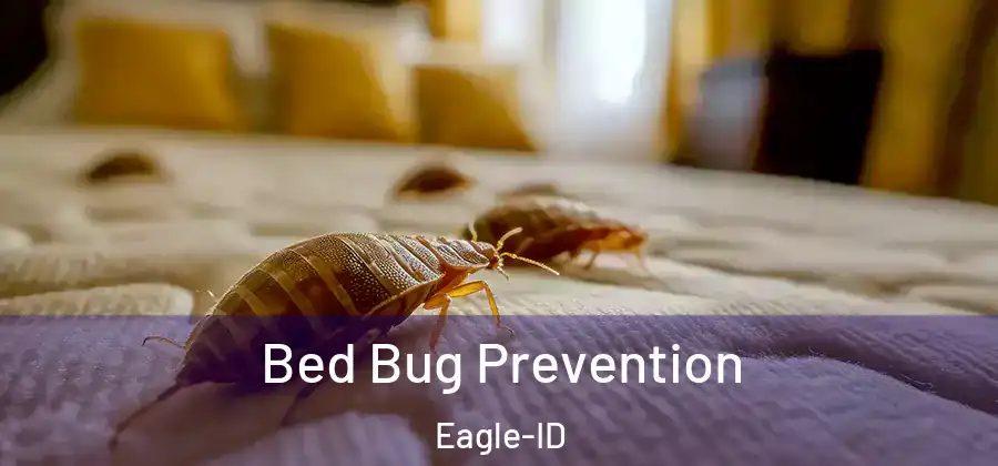 Bed Bug Prevention Eagle-ID
