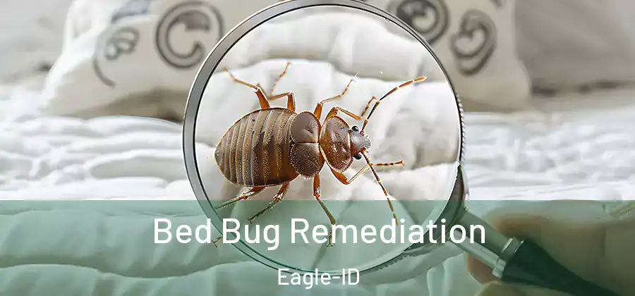  Bed Bug Remediation Eagle-ID