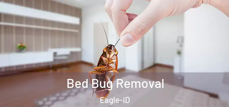  Bed Bug Removal Eagle-ID
