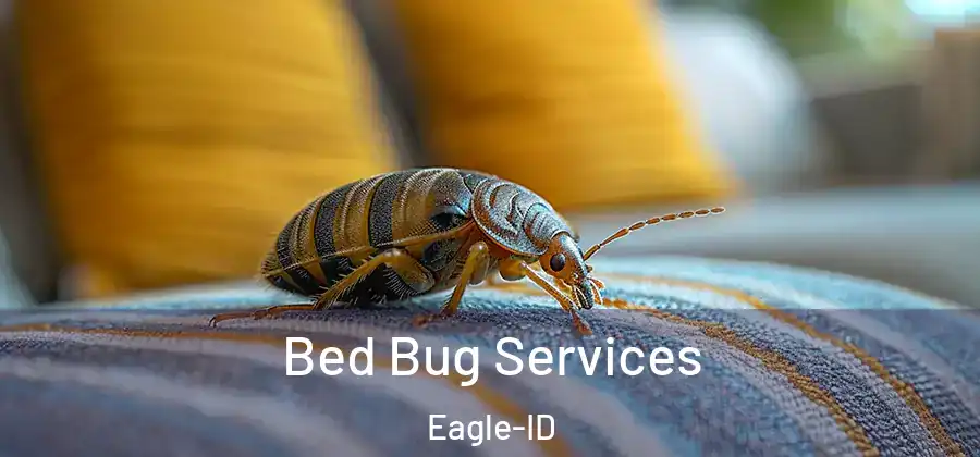  Bed Bug Services Eagle-ID