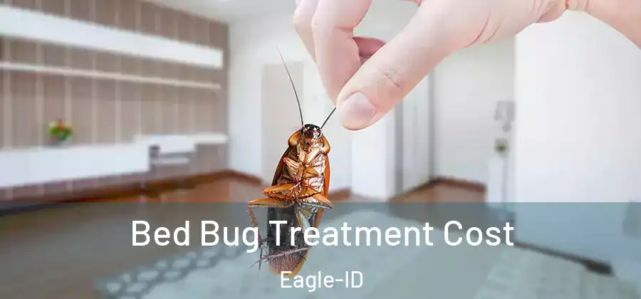  Bed Bug Treatment Cost Eagle-ID