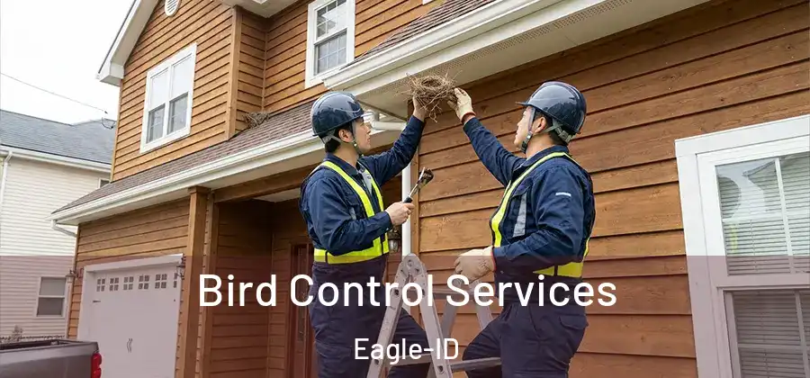 Bird Control Services Eagle-ID