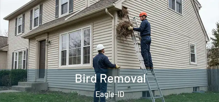 Bird Removal Eagle-ID