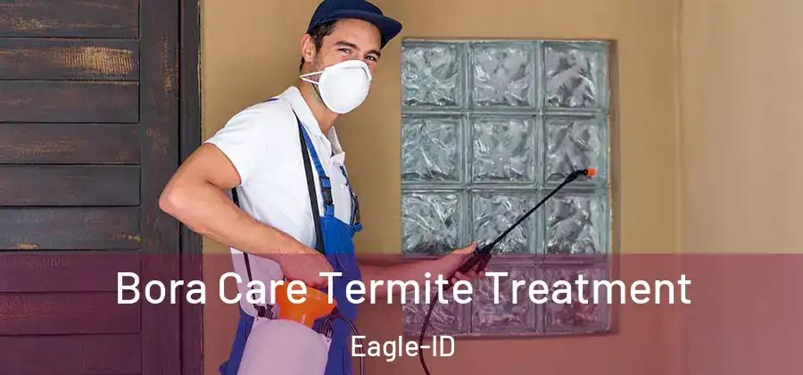  Bora Care Termite Treatment Eagle-ID