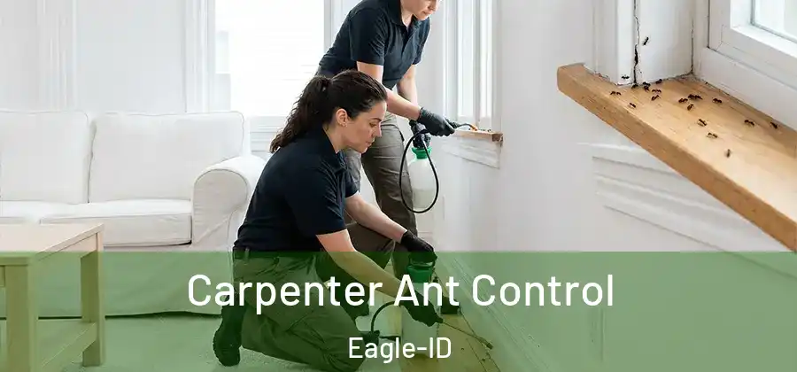 Carpenter Ant Control Eagle-ID
