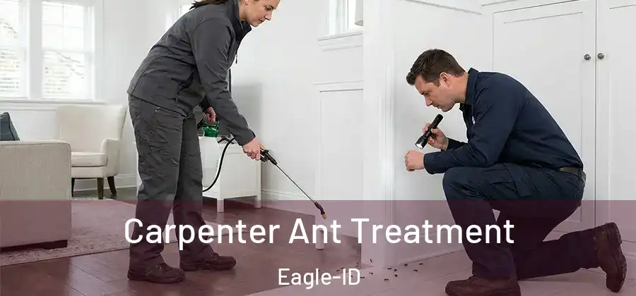 Carpenter Ant Treatment Eagle-ID