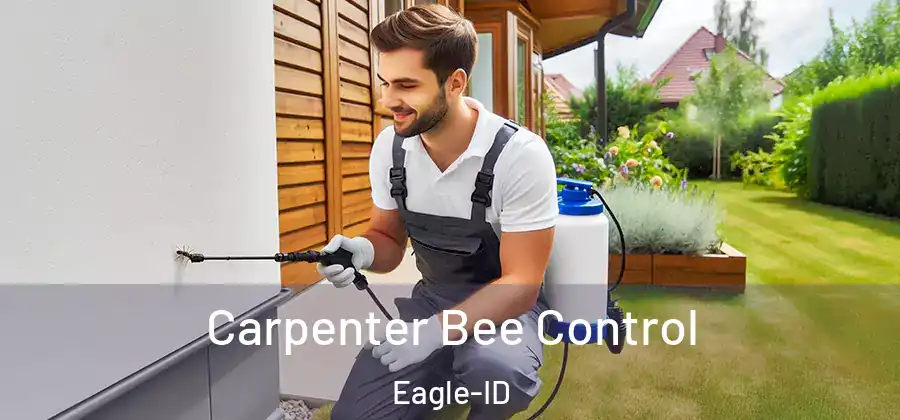 Carpenter Bee Control Eagle-ID