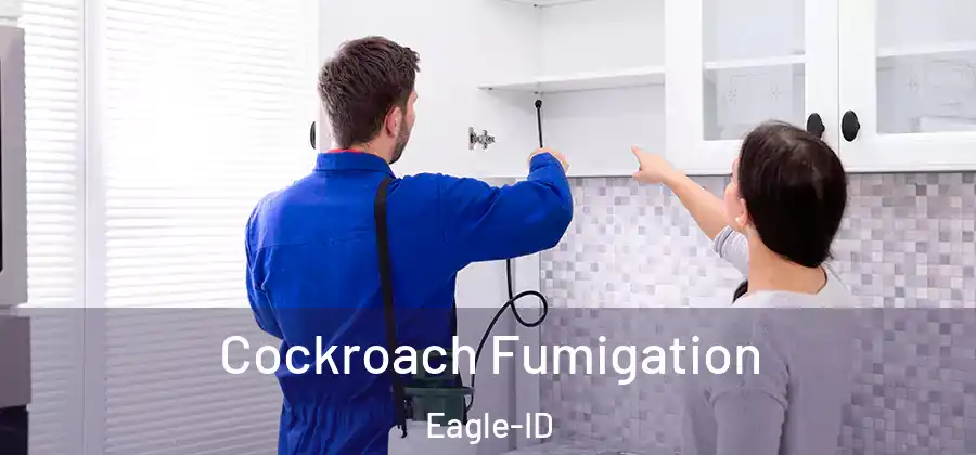 Cockroach Fumigation Eagle-ID