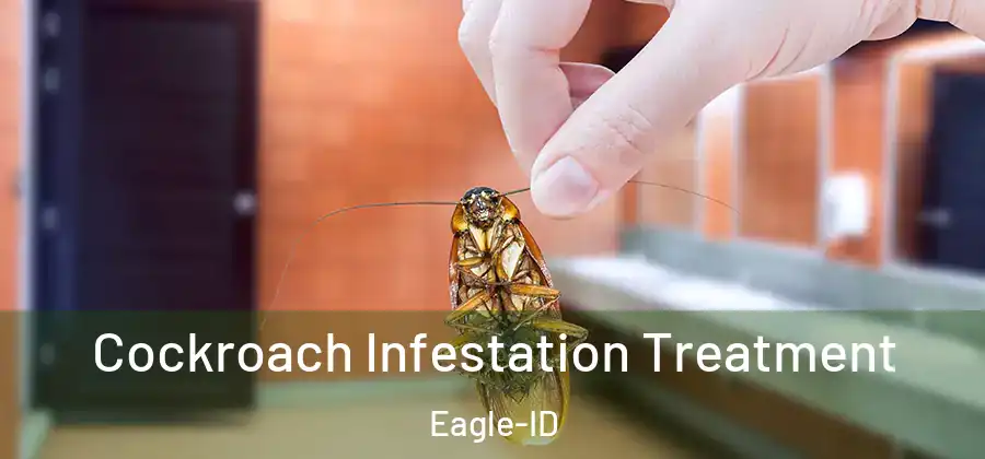 Cockroach Infestation Treatment Eagle-ID