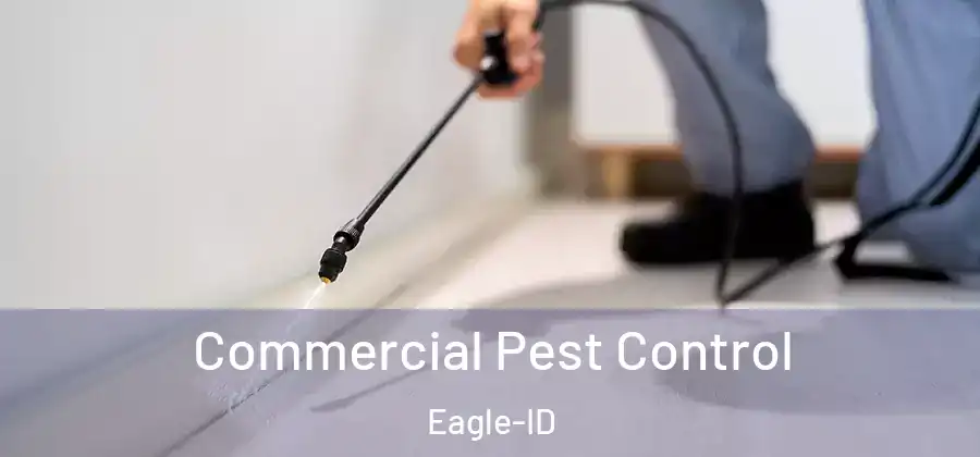  Commercial Pest Control Eagle-ID