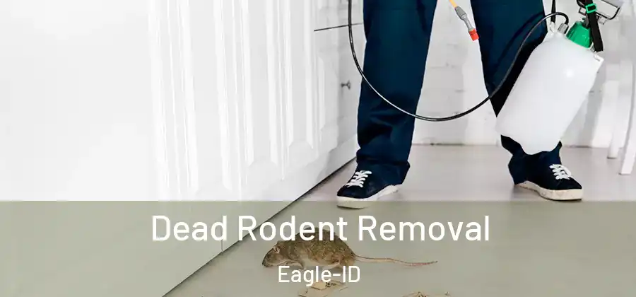  Dead Rodent Removal Eagle-ID