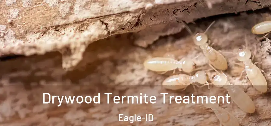 Drywood Termite Treatment Eagle-ID
