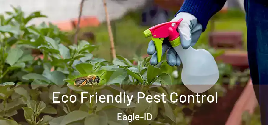  Eco Friendly Pest Control Eagle-ID