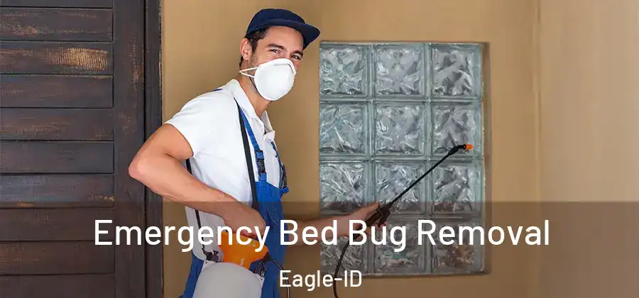 Emergency Bed Bug Removal Eagle-ID