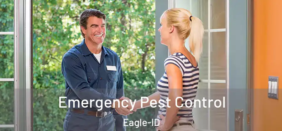 Emergency Pest Control Eagle-ID