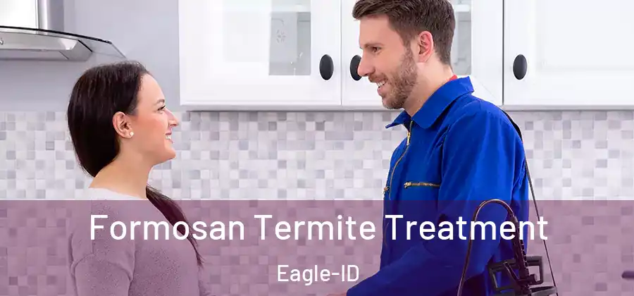Formosan Termite Treatment Eagle-ID