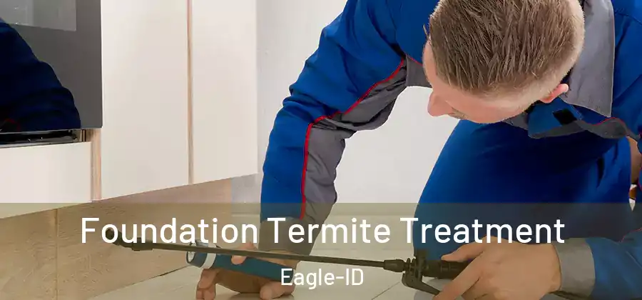  Foundation Termite Treatment Eagle-ID