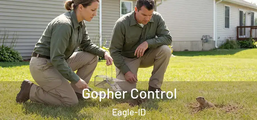  Gopher Control Eagle-ID