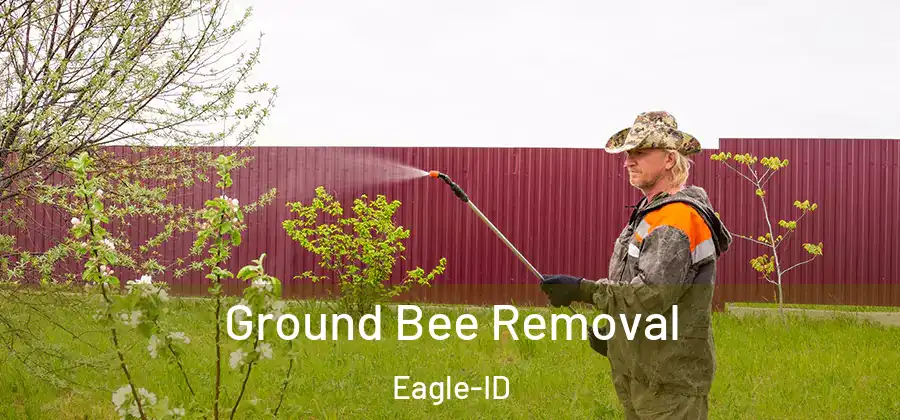 Ground Bee Removal Eagle-ID
