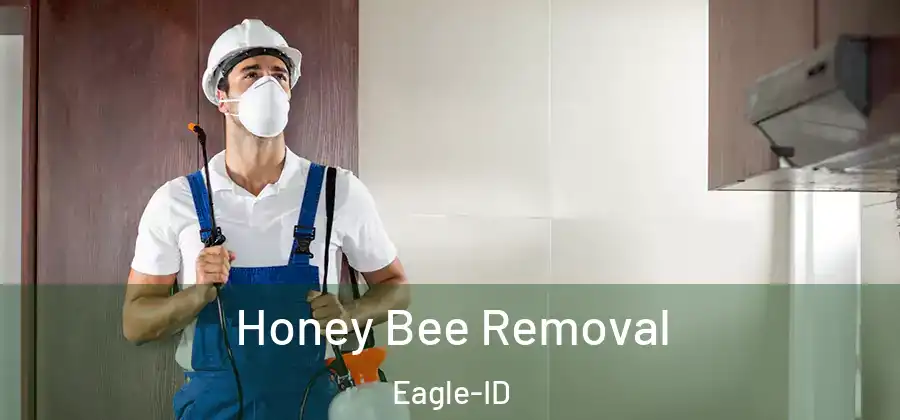  Honey Bee Removal Eagle-ID