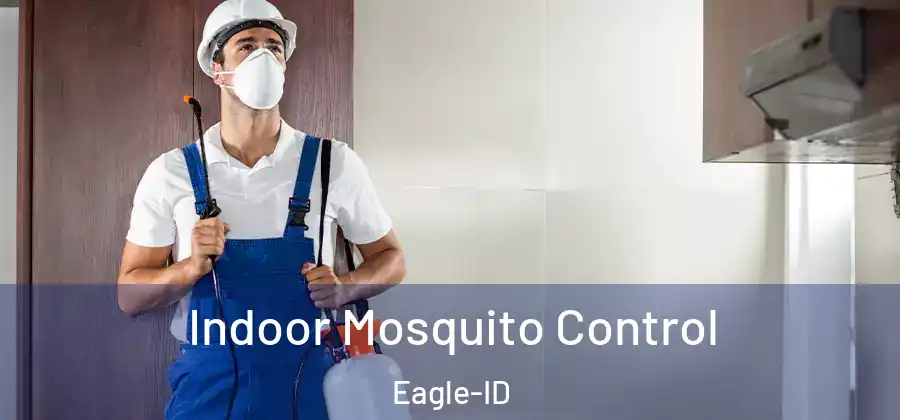  Indoor Mosquito Control Eagle-ID