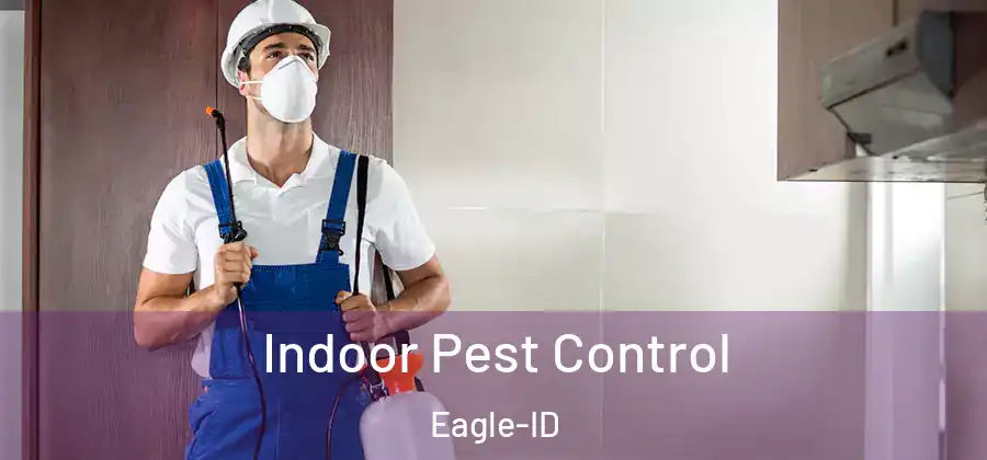 Indoor Pest Control Eagle-ID