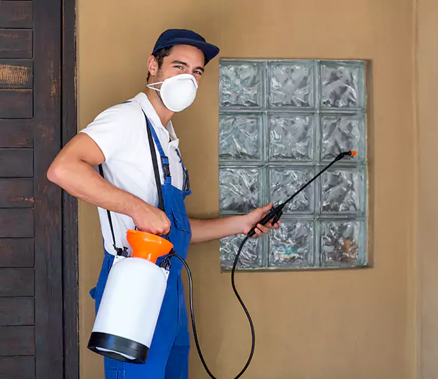 Your Reliable Pest Control in Eagle, ID