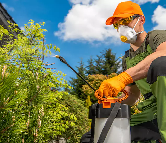 Your Mosquito Repellent Barrier Service in Eagle, ID