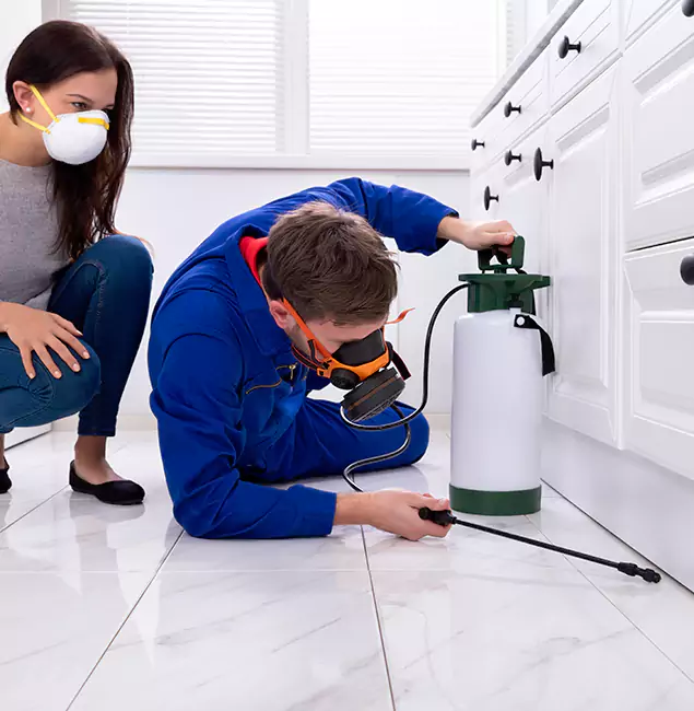 Why Eagle, ID Homeowners Trust Eagle Pest Control Pro for Roach Control?