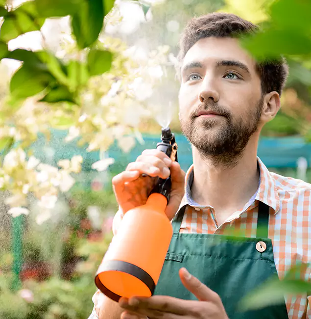Why Eagle Homeowners Call Eagle Pest Control Pro for Mosquitoes in House?