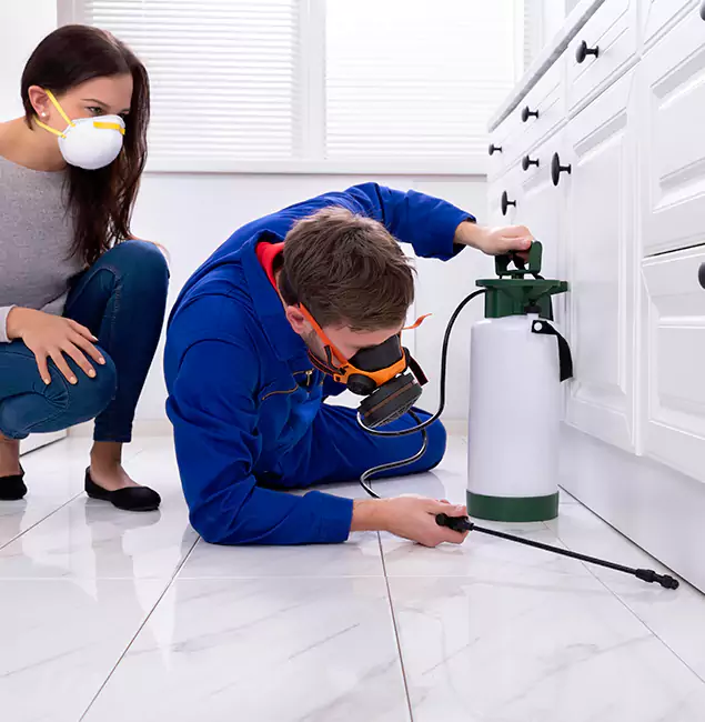 Why Choose Wood Termite Treatment by Eagle Pest Control Pro in Eagle, ID?