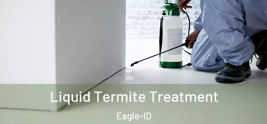  Liquid Termite Treatment Eagle-ID