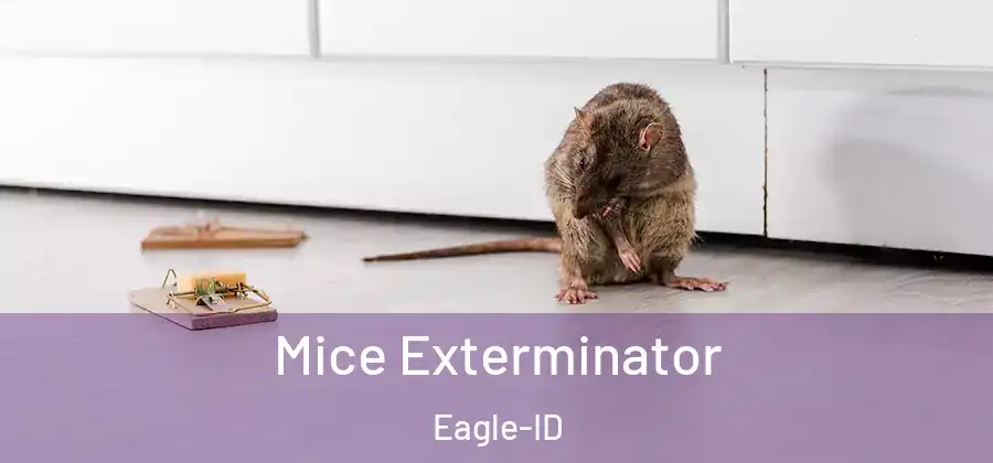  Mice Exterminator Eagle-ID